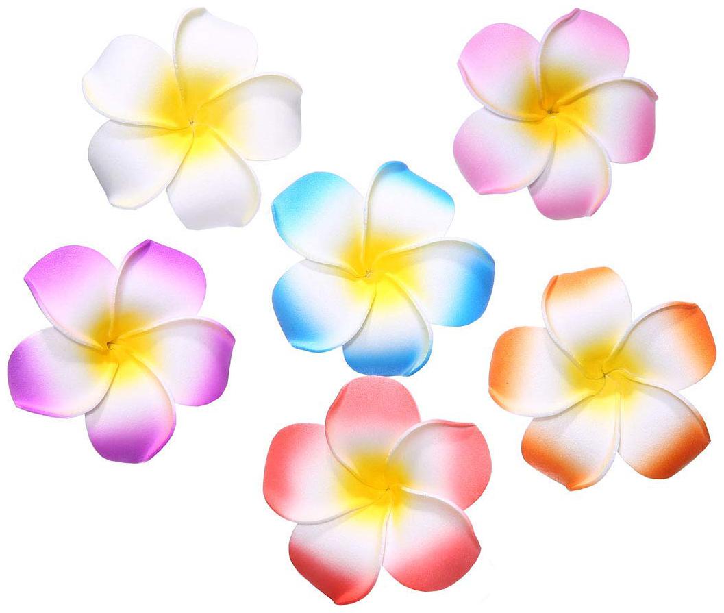 Premsons Single Layer of Plumeria Flower Alligator Clip Great for Wedding Party and Casual Occasions (Colour May Vary) - Pack of 6
Premsons Single Layer of Plumeria Flower Alligator Clip Great for Wedding Party and Casual Occasions (Colour May Vary) - Pack of 6