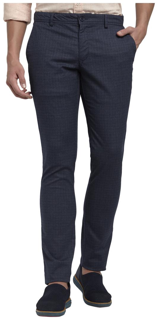 ColorPlus Men Blue Checked Regular fit Regular trousers
