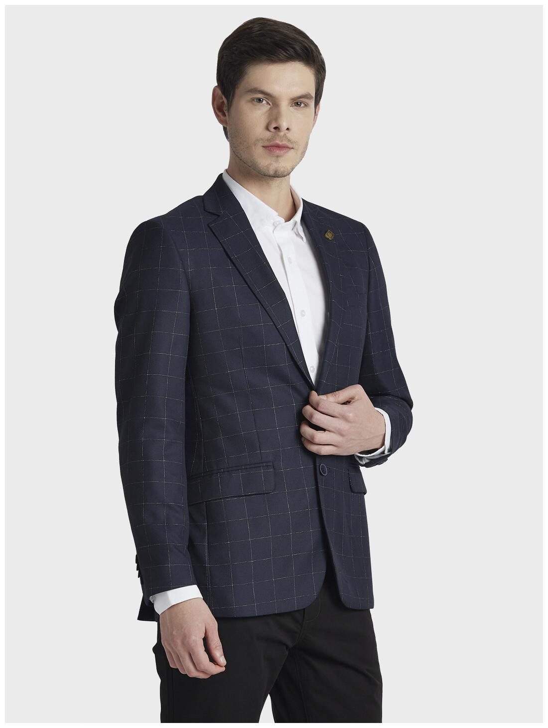 ColorPlus Men Blue Checked Regular fit Single Breasted Blazer