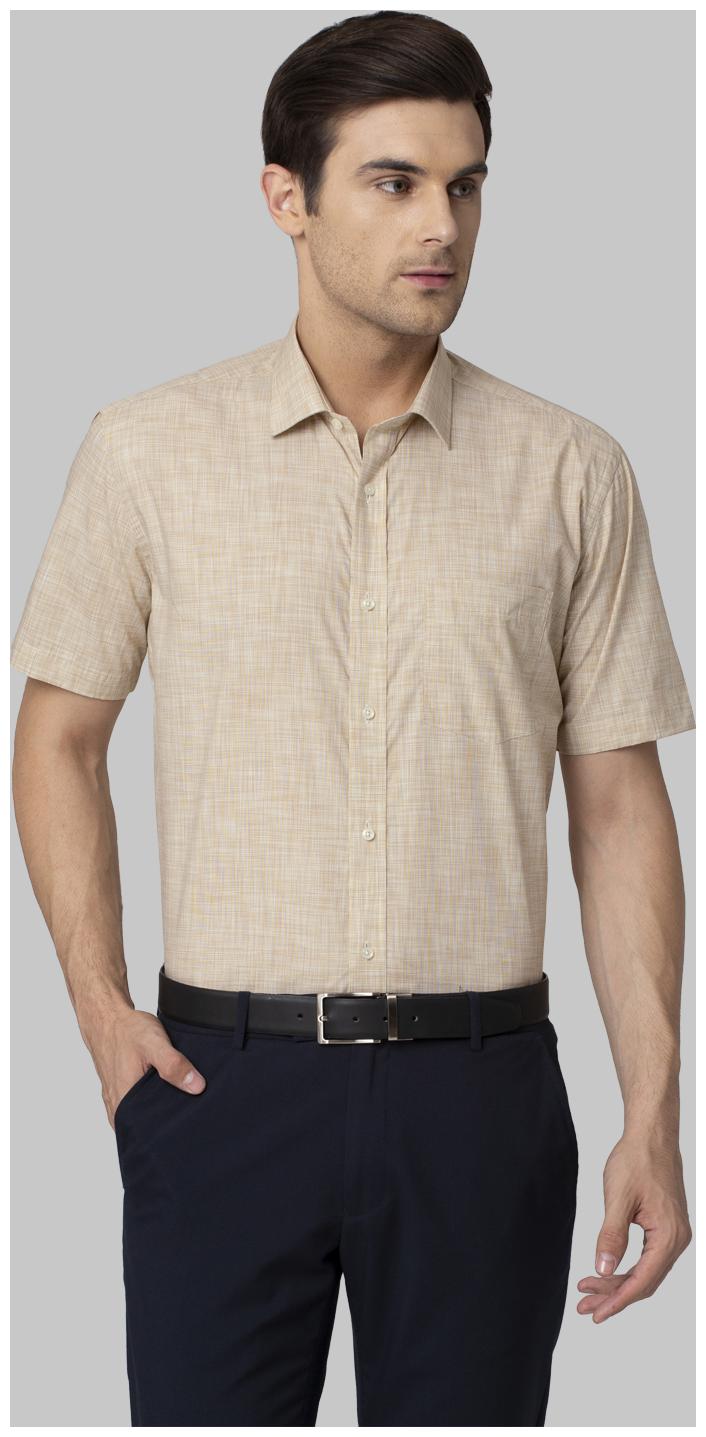 Park Avenue Men Regular fit Formal Shirt - Beige
Park Avenue Men Regular fit Formal Shirt - Beige