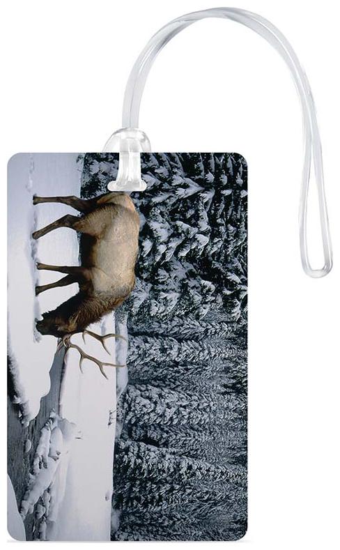 Luggage Tag- Natural Scenery Printed Designer Luggage Travel Baggage Tags with Silicon Strap- Ideal For Travel
Luggage Tag- Natural Scenery Printed Designer Luggage Travel Baggage Tags with Silicon Strap- Ideal For Travel