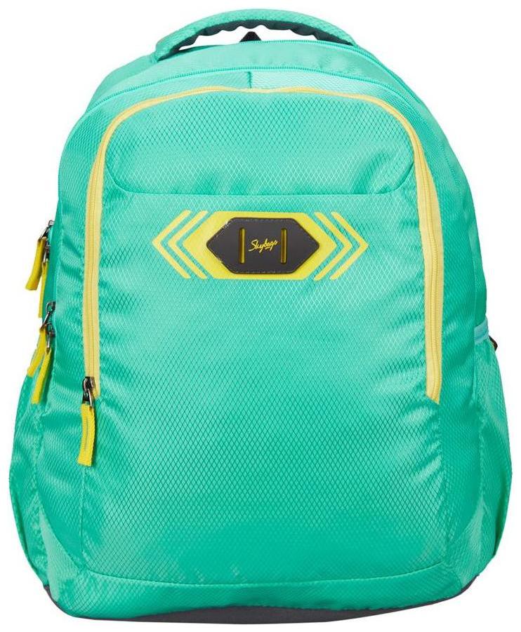 Skybags Backpack
