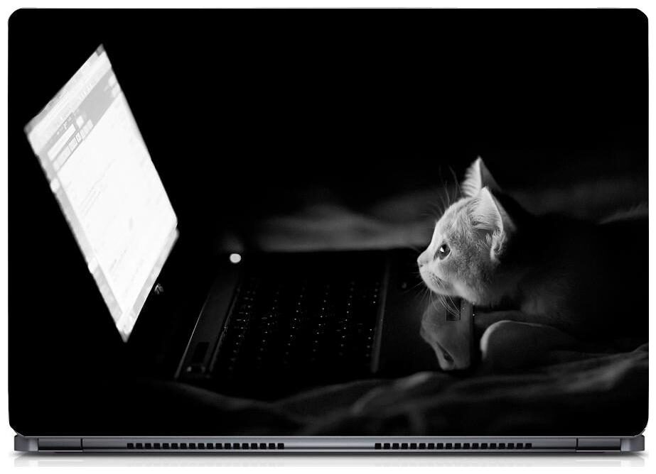 Gallery 83 - Cat on Laptop Laptop Decal laptop skin sticker 15 6 inch (15 x 10) Inch ks skin 0259new
Gallery 83 - Cat on Laptop Laptop Decal laptop skin sticker 15 6 inch (15 x 10) Inch ks skin 0259new