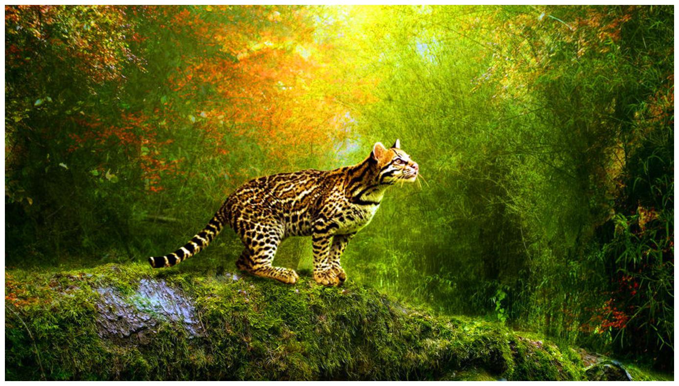 Psycho Art Laptop Skin 15 6 inch High Quality Sticker for All Laptop - Notebook HQ12308
Psycho Art Laptop Skin 15 6 inch High Quality Sticker for All Laptop - Notebook HQ12308