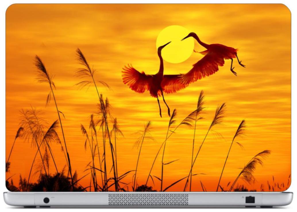 Sticker Studio Sun sat Laptop Skin Sticker (PVC Vinyl Size- 38 1 cm (15 inch) x 25 4 cm (10 inch))
Sticker Studio Sun sat Laptop Skin Sticker (PVC Vinyl Size- 38 1 cm (15 inch) x 25 4 cm (10 inch))