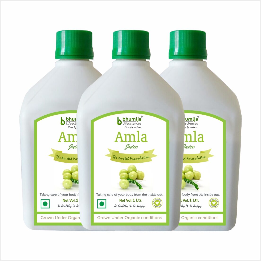 BHUMIJA LIFESCIENCES Amla Juice (Sugar Free) 1 L (Pack of 3) Immunity Immunity Booster
BHUMIJA LIFESCIENCES Amla Juice (Sugar Free) 1 L (Pack of 3) Immunity Immunity Booster