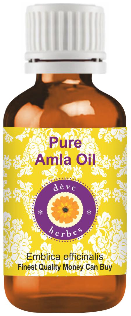 Deve Herbes Pure Amla Oil (Emblica officinalis) Natural Premium Grade for Personal Care 50ml
Deve Herbes Pure Amla Oil (Emblica officinalis) Natural Premium Grade for Personal Care 50ml