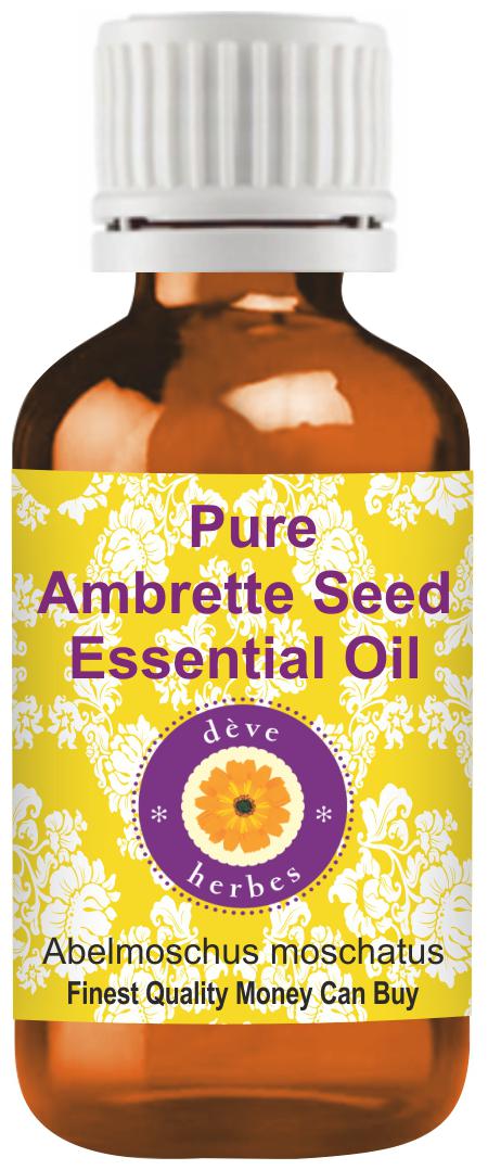 Deve Herbes Pure Ambrette Seed Essential Oil (Abelmoschus moschatus) Natural Premium Grade Steam Distilled 10ml
Deve Herbes Pure Ambrette Seed Essential Oil (Abelmoschus moschatus) Natural Premium Grade Steam Distilled 10ml