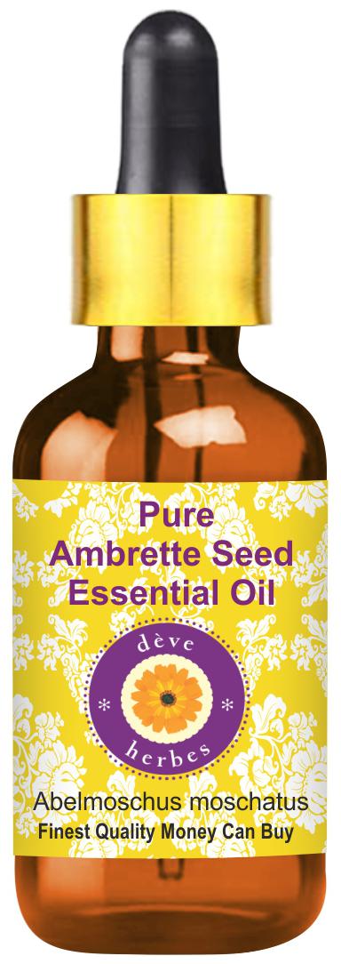 Deve Herbes Pure Ambrette Seed Essential Oil (Abelmoschus moschatus) with Glass Dropper Natural Premium Grade Steam Distilled 2ml
Deve Herbes Pure Ambrette Seed Essential Oil (Abelmoschus moschatus) with Glass Dropper Natural Premium Grade Steam Distilled 2ml