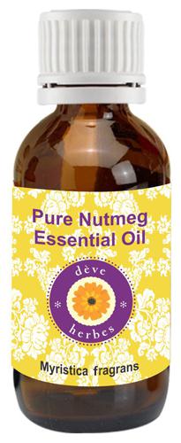 Deve Herbes Pure Nutmeg Essential Oil (Myristica fragrans) 100 Natural Therapeutic Grade Steam Distilled 10ml
Deve Herbes Pure Nutmeg Essential Oil (Myristica fragrans) 100 Natural Therapeutic Grade Steam Distilled 10ml