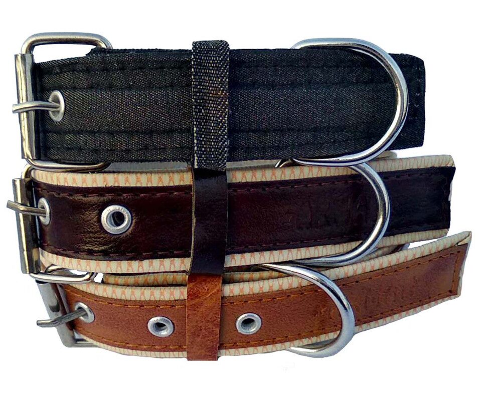 Forever99 Pet Shop Dog Collar Neck Belt Military Grade Training Soft And Durable For Small Dog Neck Belt Art 113 (Pack of 3)
Forever99 Pet Shop Dog Collar Neck Belt Military Grade Training Soft And Durable For Small Dog Neck Belt Art 113 (Pack of 3)