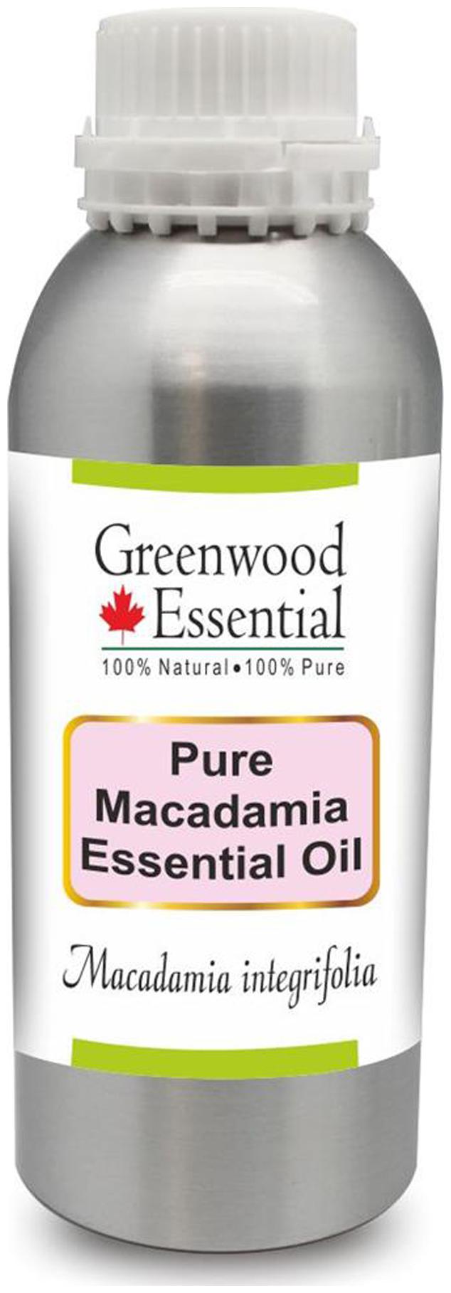 Greenwood Essential Pure Macadamia Essential Oil (Macadamia integrifolia) 100 Natural Therapeutic Grade Steam Distilled 630ml
Greenwood Essential Pure Macadamia Essential Oil (Macadamia integrifolia) 100 Natural Therapeutic Grade Steam Distilled 630ml