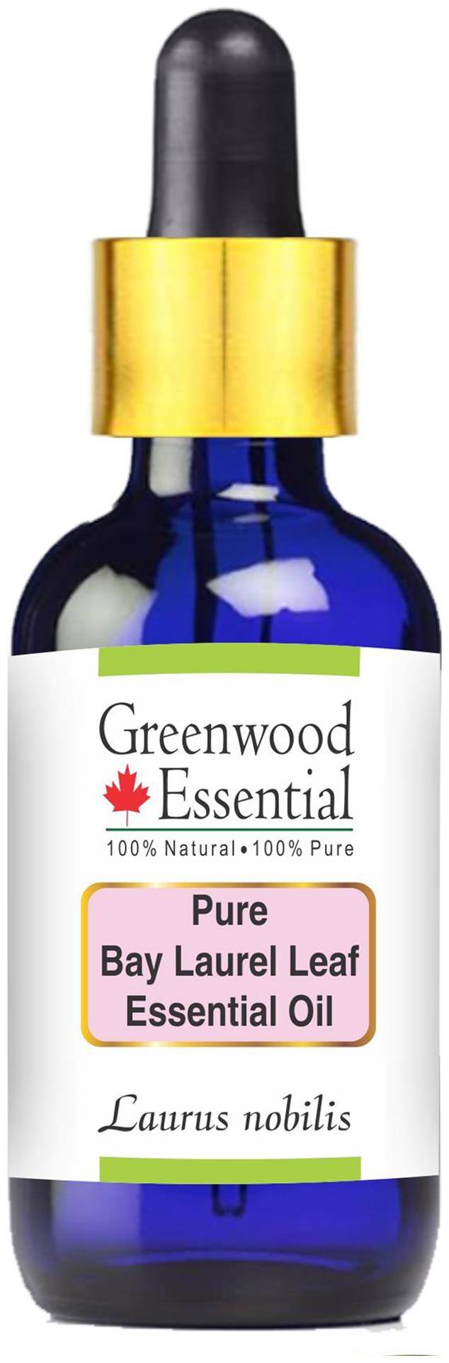 Greenwood Essential Pure Bay Laurel Leaf Essential Oil (Laurus nobilis) with Glass Dropper 100 Natural Therapeutic Grade Steam Distilled 100ml
Greenwood Essential Pure Bay Laurel Leaf Essential Oil (Laurus nobilis) with Glass Dropper 100 Natural Therapeutic Grade Steam Distilled 100ml