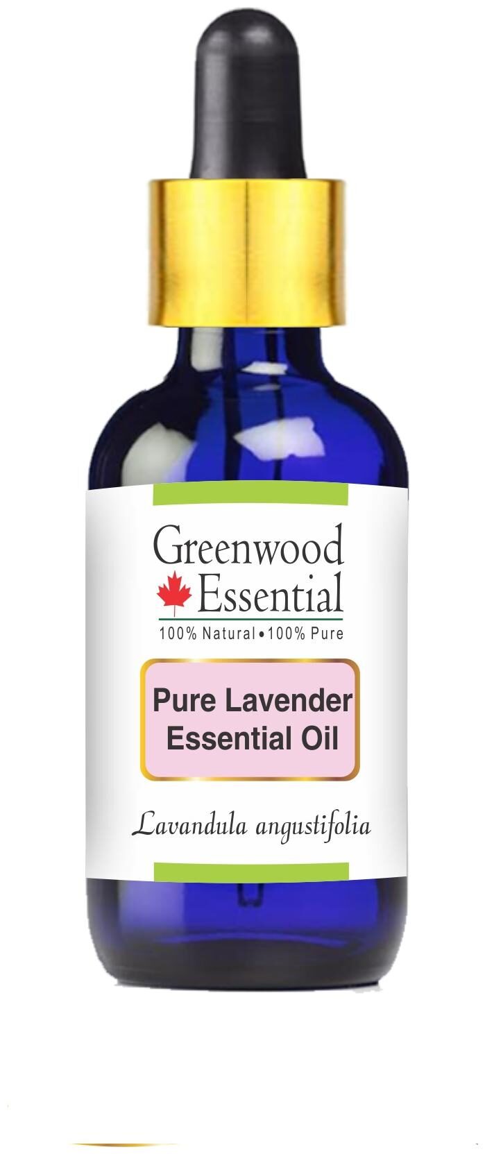 Greenwood Essential Pure Lavender Essential Oil (Lavandula angustifolia) with Glass Dropper 100 Natural Therapeutic Grade Steam Distilled 15ml
Greenwood Essential Pure Lavender Essential Oil (Lavandula angustifolia) with Glass Dropper 100 Natural Therapeutic Grade Steam Distilled 15ml