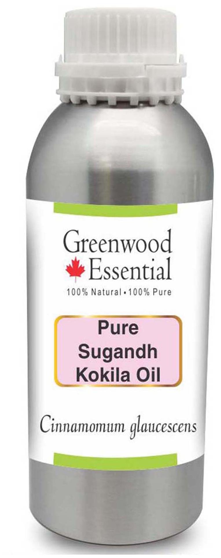 Greenwood Essential Pure Sugandh Kokila Oil (Cinnamomum glaucescens) 100 Natural Therapeutic Grade 1250ml
Greenwood Essential Pure Sugandh Kokila Oil (Cinnamomum glaucescens) 100 Natural Therapeutic Grade 1250ml