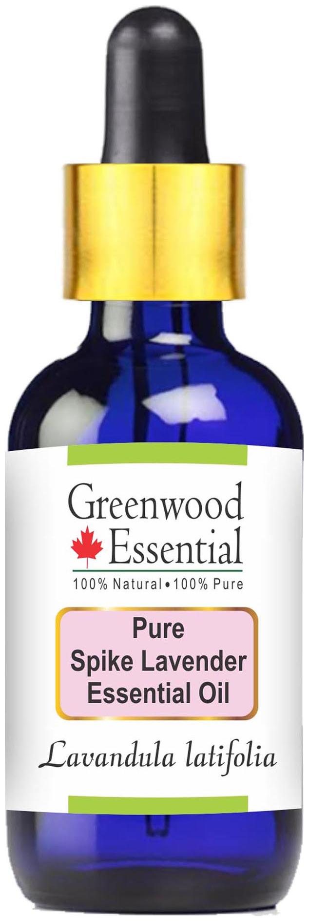 Greenwood Essential Pure Spike Lavender Essential Oil (Lavandula latifolia) with Glass Dropper 100 Natural Therapeutic Grade Steam Distilled 100ml
Greenwood Essential Pure Spike Lavender Essential Oil (Lavandula latifolia) with Glass Dropper 100 Natural Therapeutic Grade Steam Distilled 100ml