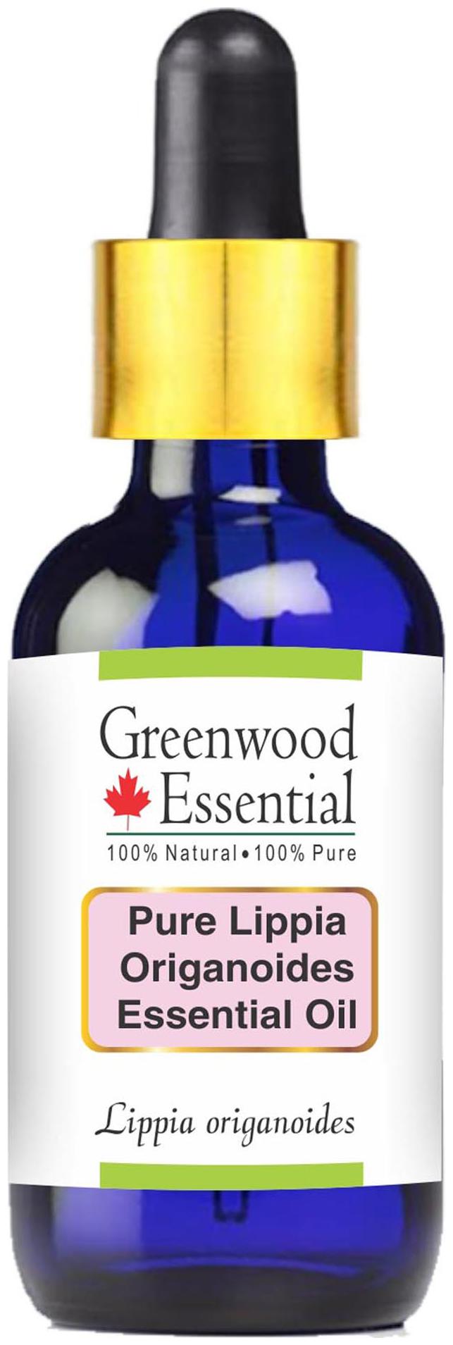 Greenwood Essential Pure Lippia Origanoides Essential Oil (Lippia origanoides) with Glass Dropper 100 Natural Therapeutic Grade Steam Distilled 50ml
Greenwood Essential Pure Lippia Origanoides Essential Oil (Lippia origanoides) with Glass Dropper 100 Natural Therapeutic Grade Steam Distilled 50ml