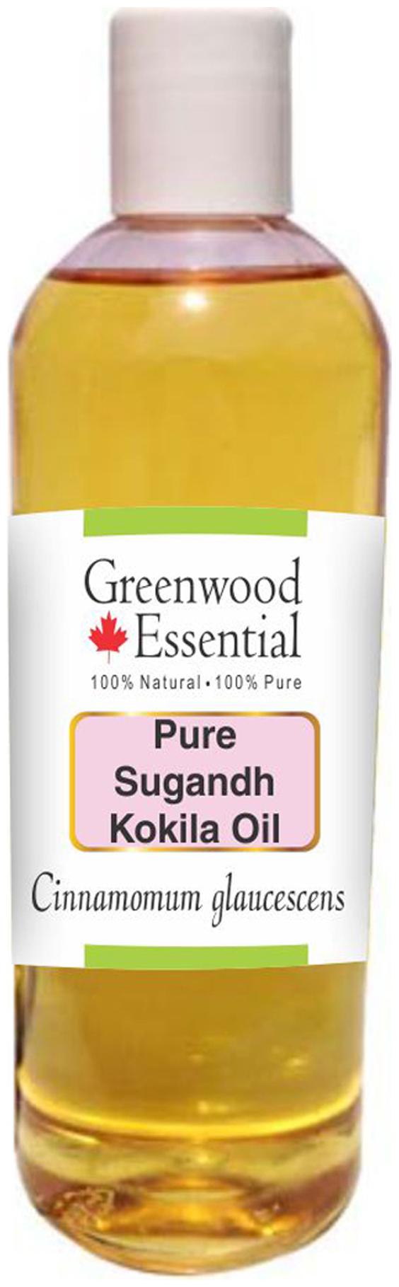 Greenwood Essential Pure Sugandh Kokila Oil (Cinnamomum glaucescens) 100 Natural Therapeutic Grade 200ml
Greenwood Essential Pure Sugandh Kokila Oil (Cinnamomum glaucescens) 100 Natural Therapeutic Grade 200ml
