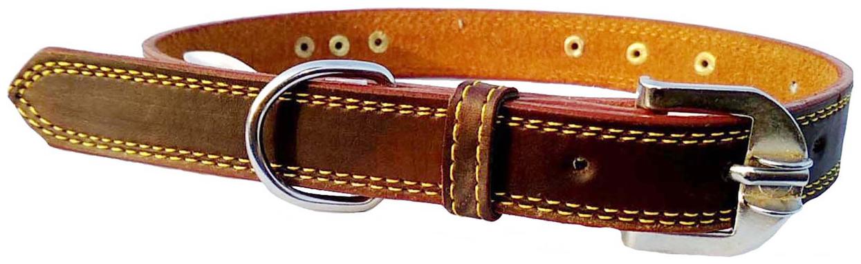 Petlia Fits Dog Neck collar Size Extra Extra Large -22 TO 26 Inches for Adjustable
Petlia Fits Dog Neck collar Size Extra Extra Large -22 TO 26 Inches for Adjustable