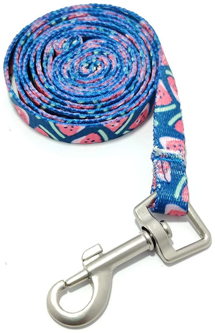 Pets Empire Puppy Cat Collar and Leash Set Nylon Adjustable Small Cat Collars Lead for Puppy and Cat Leash Collar Set ( Design -B )
Pets Empire Puppy Cat Collar and Leash Set Nylon Adjustable Small Cat Collars Lead for Puppy and Cat Leash Collar Set ( Design -B )