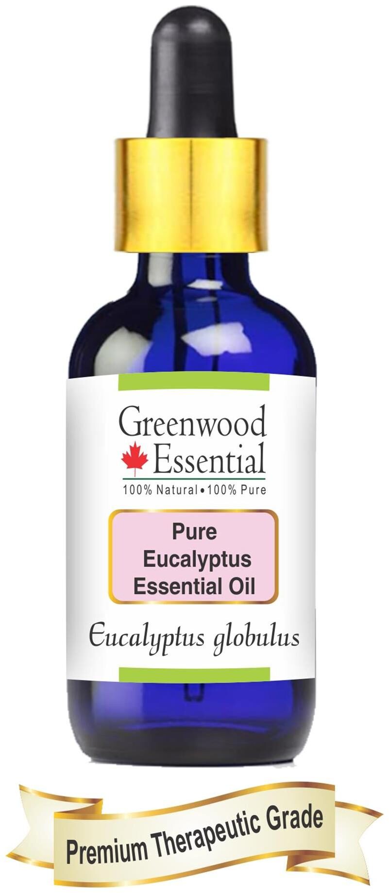 Greenwood Essential Pure Eucalyptus Essential Oil (Eucalyptus globulus) with Glass Dropper 100 Natural Therapeutic Grade Steam Distilled 30ml
Greenwood Essential Pure Eucalyptus Essential Oil (Eucalyptus globulus) with Glass Dropper 100 Natural Therapeutic Grade Steam Distilled 30ml