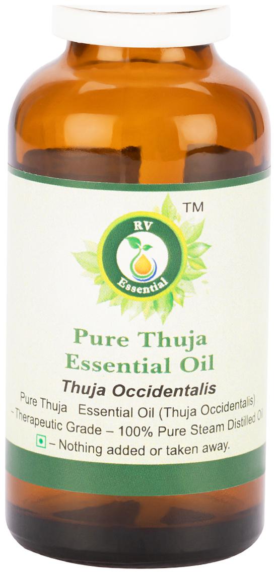 R V Essential Pure Thuja Essential Oil 30ml- Thuja Occidentalis (100 Pure and Natural Steam Distilled)
R V Essential Pure Thuja Essential Oil 30ml- Thuja Occidentalis (100 Pure and Natural Steam Distilled)