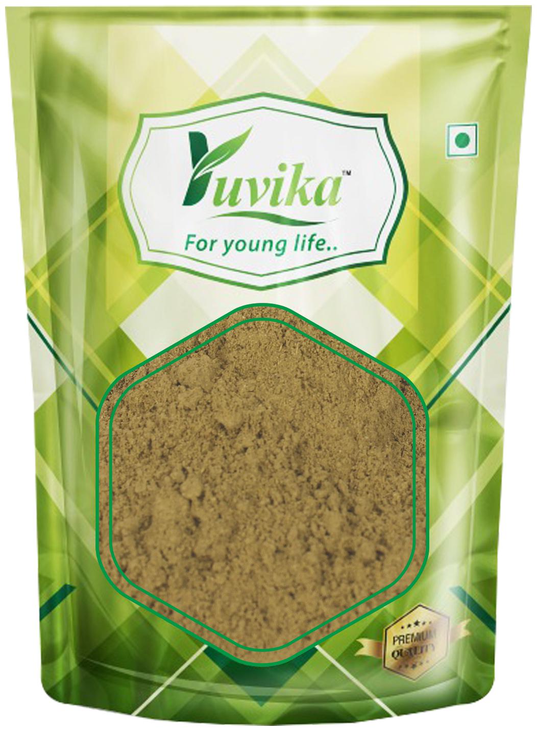 YUVIKA Senna Sanay Leaves Powder - Cassia Angustifolia - Senna Alexandrina (100 g)
YUVIKA Senna Sanay Leaves Powder - Cassia Angustifolia - Senna Alexandrina (100 g)