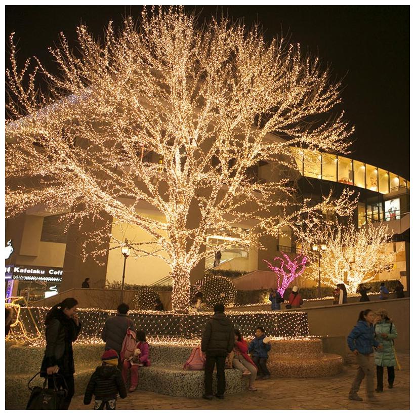 8M 26LED Outdoor Led Light Room Fairy Light String Indoor for Garden Tree Home Decoration(White)
8M 26LED Outdoor Led Light Room Fairy Light String Indoor for Garden Tree Home Decoration(White)