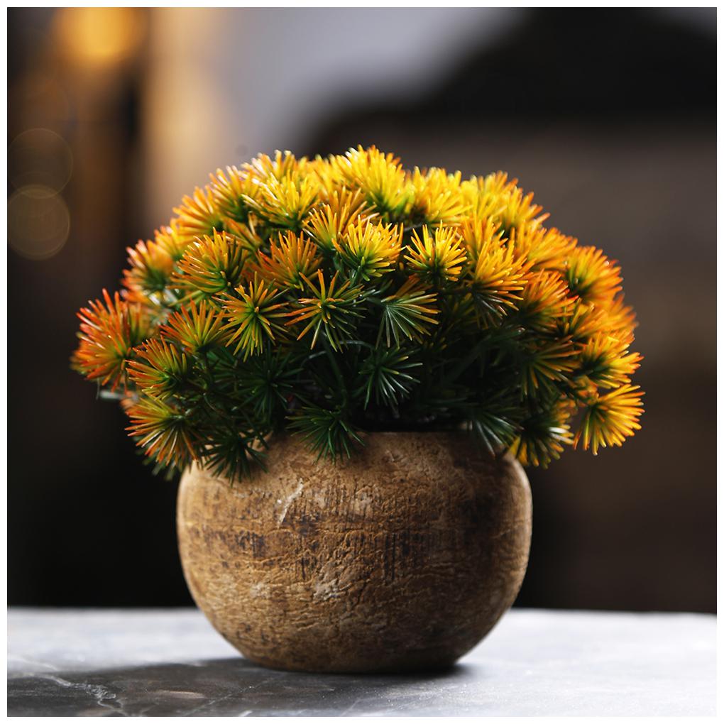 Dennmarks Plant Pot 6 Inch Modern Nordic Style Ceramic Stone Look Scrub Pots For Plants-Plant Pots Indoor With Drainage Hole
Dennmarks Plant Pot 6 Inch Modern Nordic Style Ceramic Stone Look Scrub Pots For Plants-Plant Pots Indoor With Drainage Hole