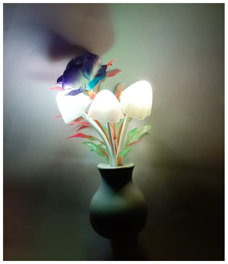 DP Endeavors Color Changing Multi Color Led Sensor Mushroom Night Light Night Lamp (Mushroom Light)
DP Endeavors Color Changing Multi Color Led Sensor Mushroom Night Light Night Lamp (Mushroom Light)