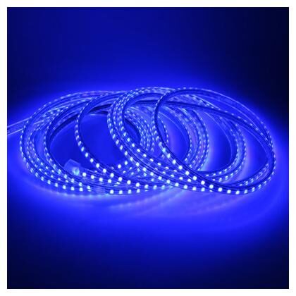 Glowtronix Led Strip Light 3014 120Led m Waterproof Ip65 Led Tape With Power Plug 20m Led Rope Ribbon( Blue) Led Lamp
Glowtronix Led Strip Light 3014 120Led m Waterproof Ip65 Led Tape With Power Plug 20m Led Rope Ribbon( Blue) Led Lamp