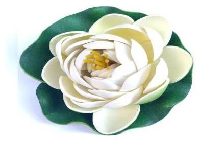 Green plant indoor Artificial Small Floating Flower - White
Green plant indoor Artificial Small Floating Flower - White