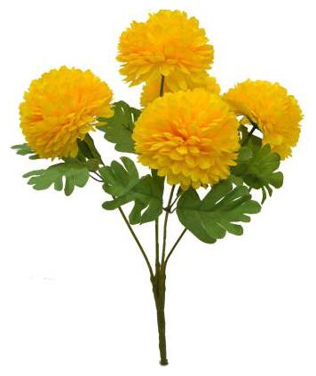 Hardik home Creation Artificial Flower Bunch With Green Leaf For Home Decoration and office for any vase or gifting someone
Hardik home Creation Artificial Flower Bunch With Green Leaf For Home Decoration and office for any vase or gifting someone