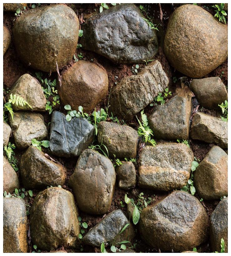 JAAMSO ROYALS Nature stone with leaves wallpaper self-adhesive peel stick ( 45 x 500 CM ) Pack of 1
JAAMSO ROYALS Nature stone with leaves wallpaper self-adhesive peel stick ( 45 x 500 CM ) Pack of 1