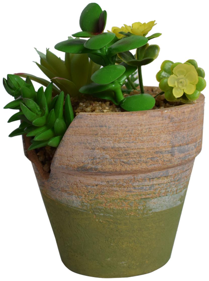 Nyrwana Artificial Plant Potted succulents with Yellow Flower plant with Brown Terra Cotta Clay Pots for Desk Furnishings - Yellow
Nyrwana Artificial Plant Potted succulents with Yellow Flower plant with Brown Terra Cotta Clay Pots for Desk Furnishings - Yellow