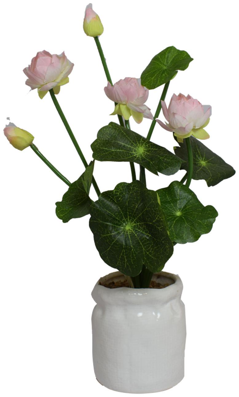 Nyrwana Artificial Indoor Flower Blooming in Premium White Ceramic Planter with Great Gift and Shelf Plant - Light Pink
Nyrwana Artificial Indoor Flower Blooming in Premium White Ceramic Planter with Great Gift and Shelf Plant - Light Pink