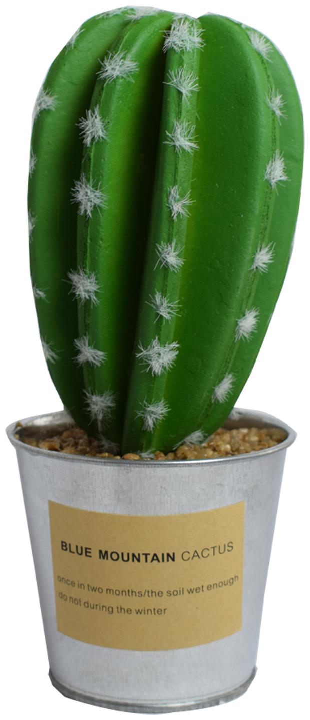 Nyrwana Artificial Plants Green Cactus With Special Silver Can Pot Design For Home DAcor - Style 2
Nyrwana Artificial Plants Green Cactus With Special Silver Can Pot Design For Home DAcor - Style 2