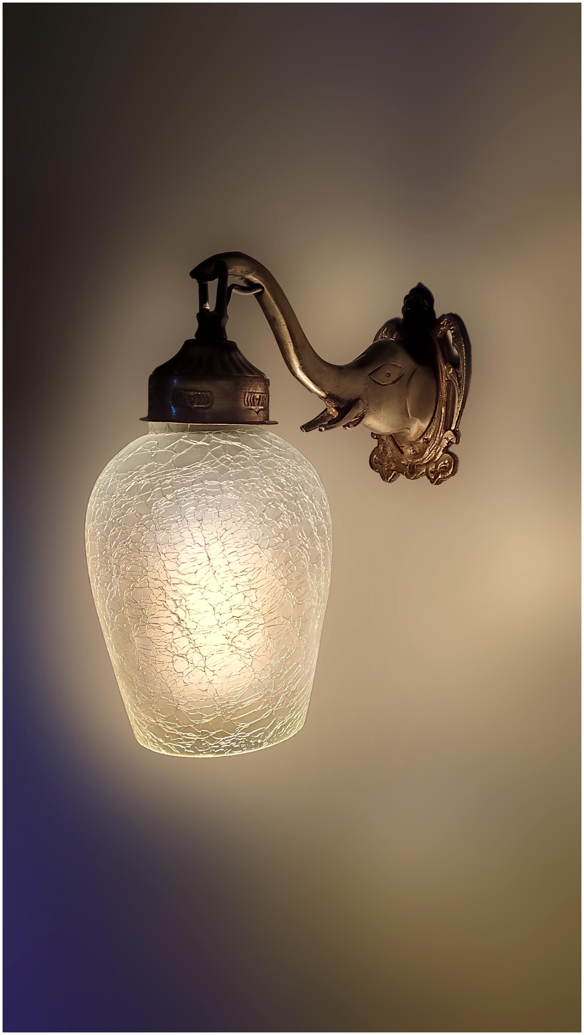 PR Prashant Pendent Wall lamp Elephant Dezine Antique Lamp with New and Styles Lamp Color Shades
PR Prashant Pendent Wall lamp Elephant Dezine Antique Lamp with New and Styles Lamp Color Shades