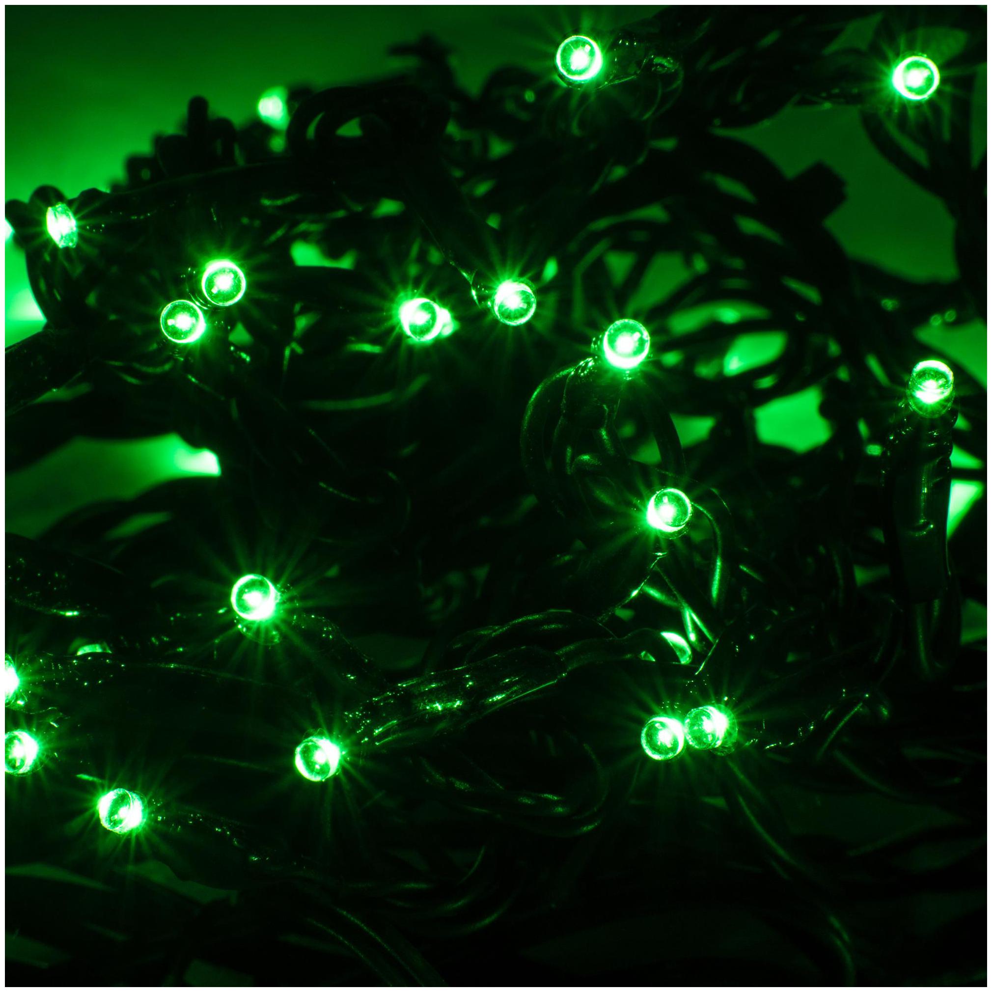 Purvani 12 Metre Long Green Colored Diwali Decorative LED string Lights for Diwali Festival Wedding Gifting Xmax New Year Decoration -Green
Purvani 12 Metre Long Green Colored Diwali Decorative LED string Lights for Diwali Festival Wedding Gifting Xmax New Year Decoration -Green