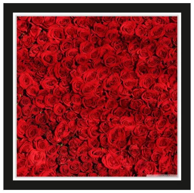 Purvani Unframed (Rolled) Wall Art Poster Sticker - 12x12 inches
Purvani Unframed (Rolled) Wall Art Poster Sticker - 12x12 inches