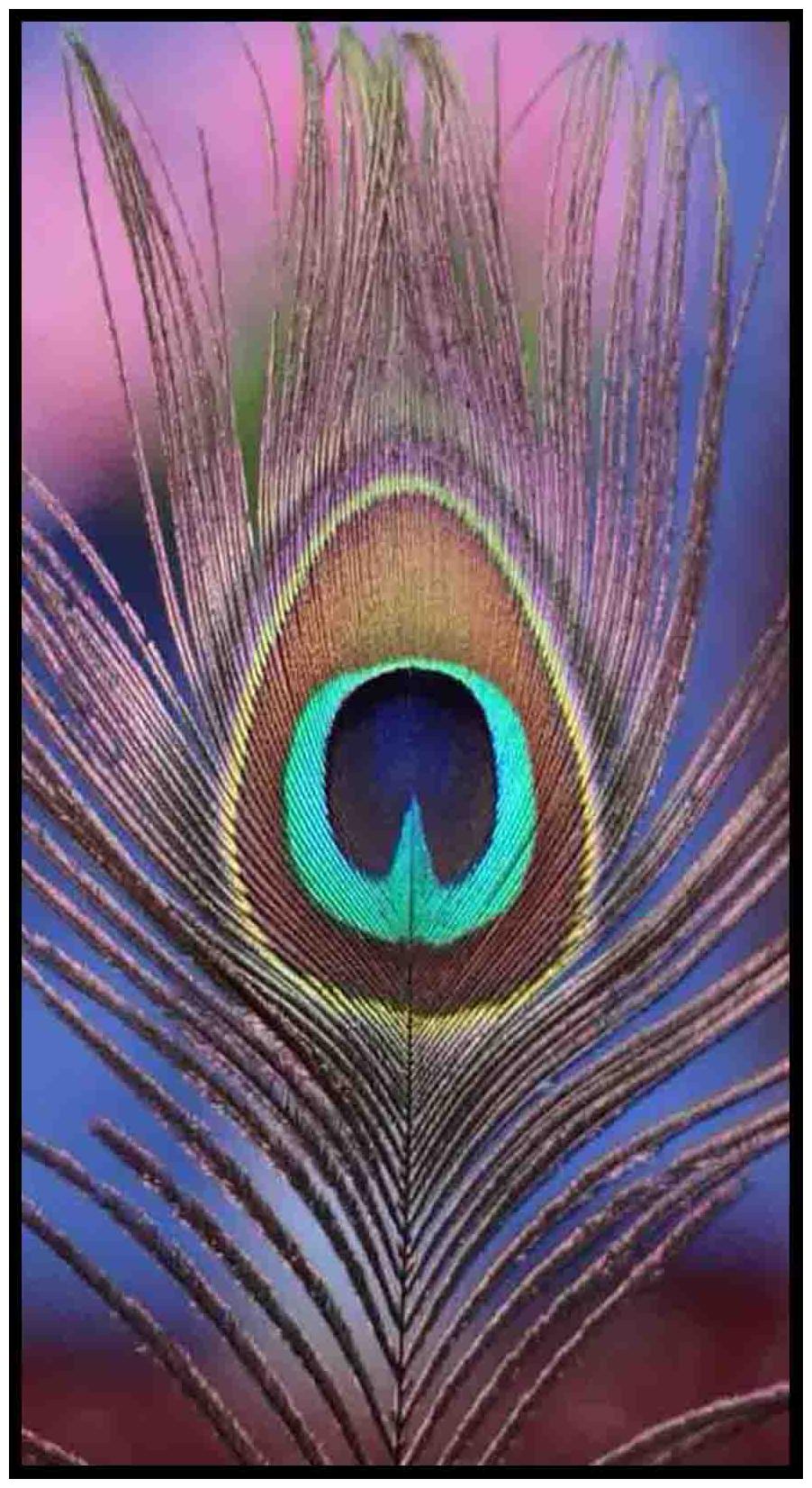 Purvani Wall Arts Sticker on MDF Board 7 x 4 inches
Purvani Wall Arts Sticker on MDF Board 7 x 4 inches