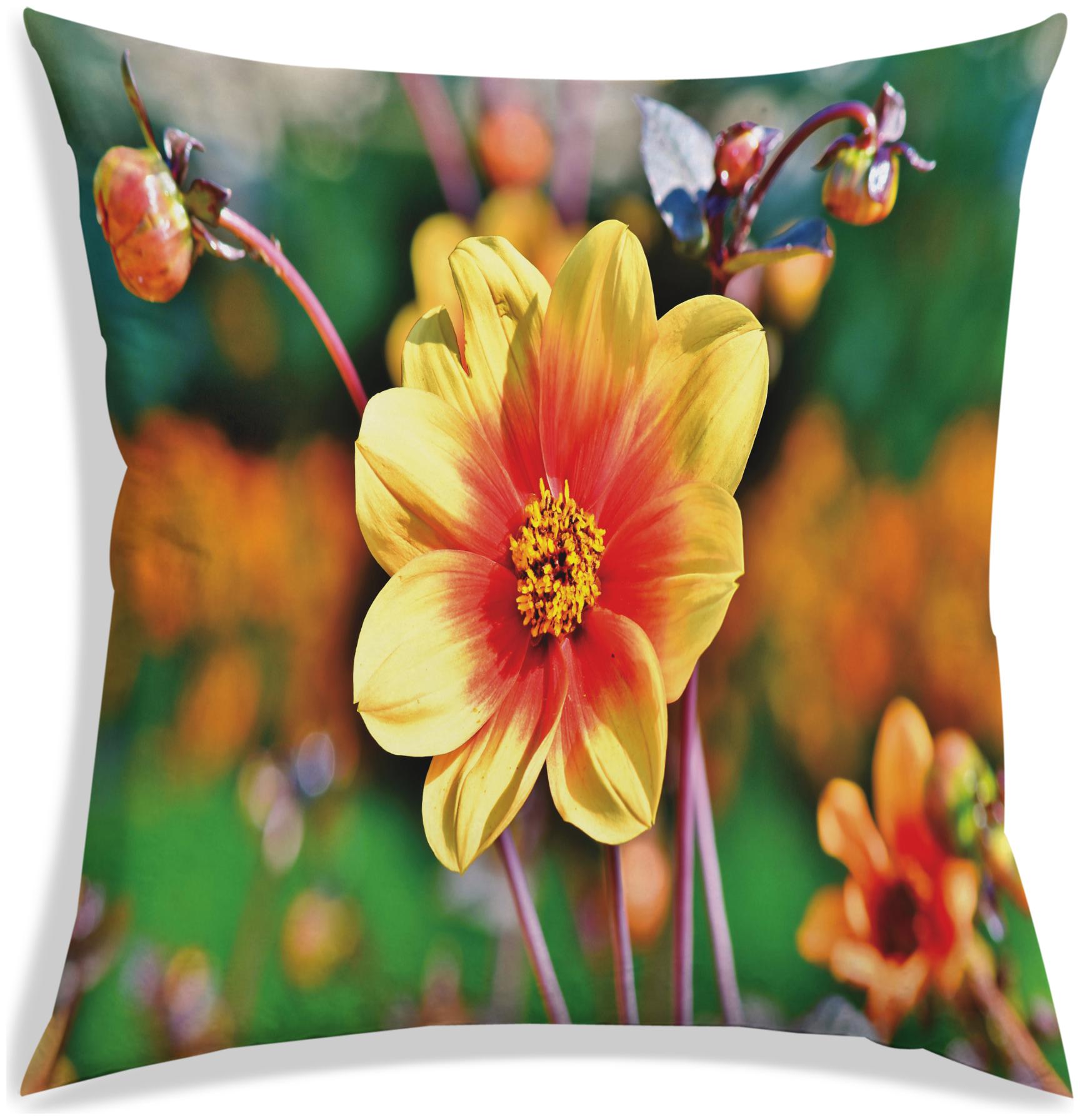 RADANYA Floral Digital Printing Cushion Cover With Filler For Living Room Bedroom-20x20 inch -Multicolor
RADANYA Floral Digital Printing Cushion Cover With Filler For Living Room Bedroom-20x20 inch -Multicolor