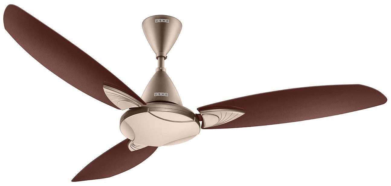 Usha Bloom Primrose 1250 mm 3 Blade Ceiling Fan (Sparkle Golden And Brown Pack Of 1)
Usha Bloom Primrose 1250 mm 3 Blade Ceiling Fan (Sparkle Golden And Brown Pack Of 1)