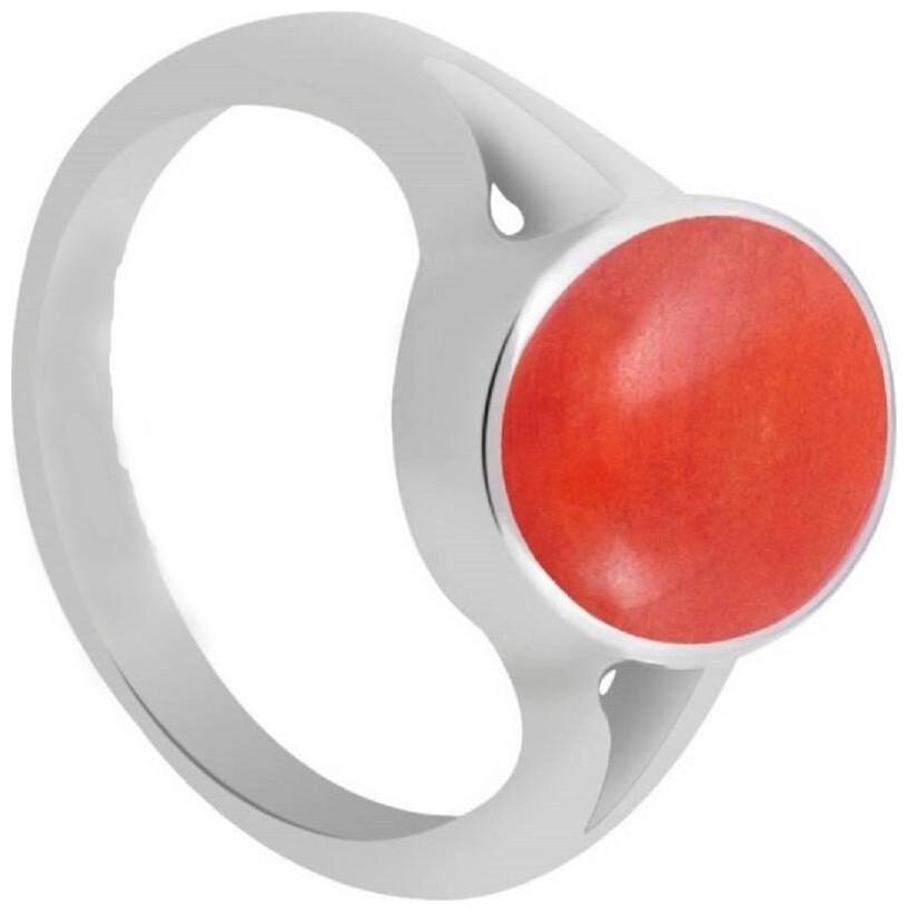 Shubho Jewellers Stylish High Quality Elegant Crystal Adjustable Coral Moonga Ring For Women Men
Shubho Jewellers Stylish High Quality Elegant Crystal Adjustable Coral Moonga Ring For Women Men