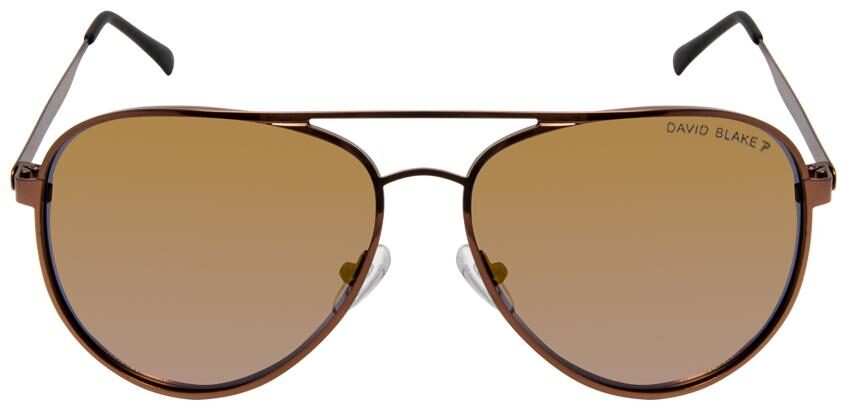 David Blake Men Aviators Sunglasses