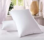 Cushions & Pillow