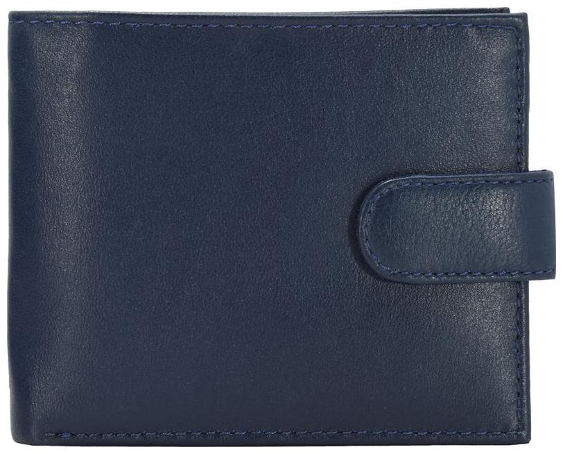 

ANNODYNE Men Blue Leather Bi-Fold Wallet ( Pack of 1 )