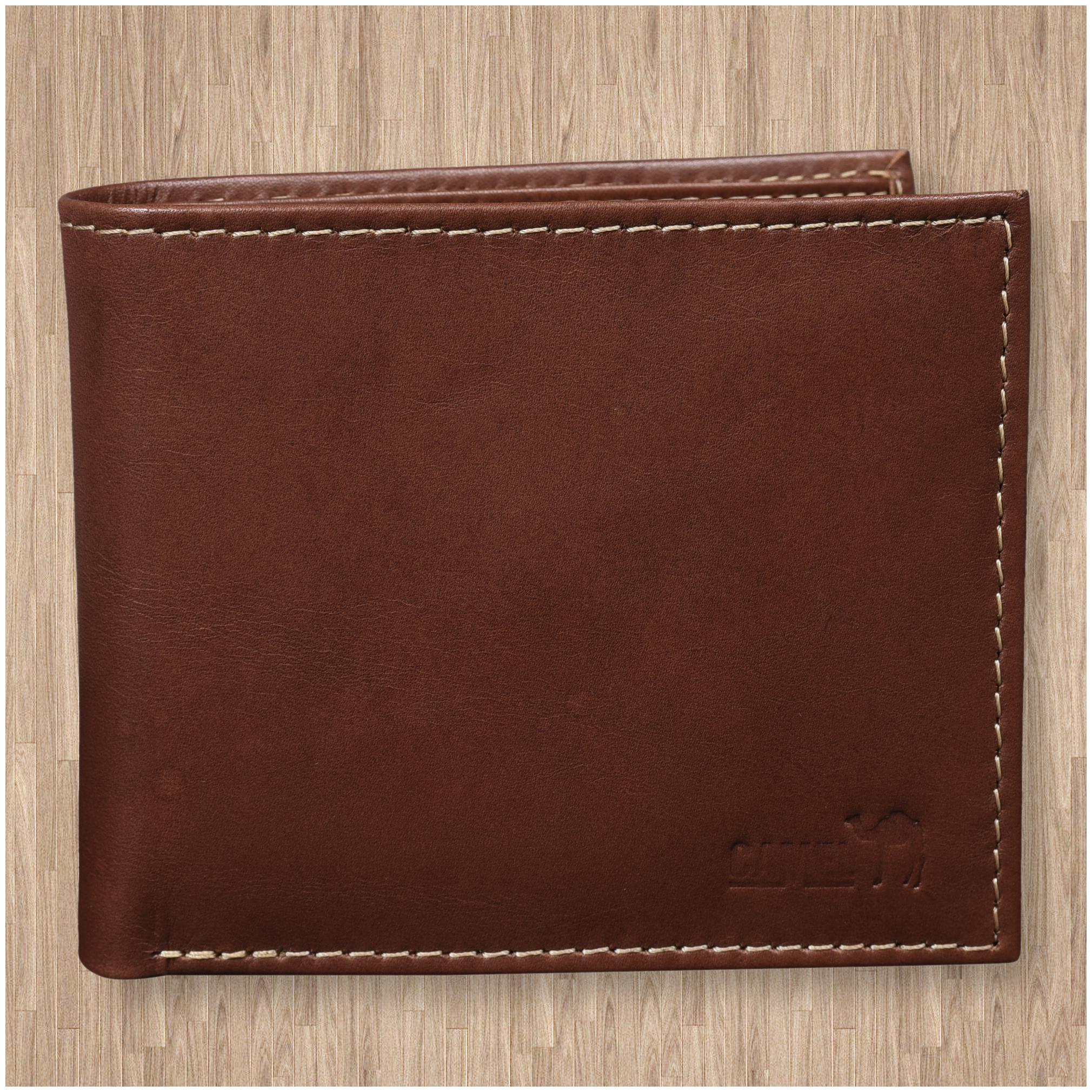 

CAMEL BRAND Men Brown Leather Bi-Fold Wallet ( Pack of 1 )