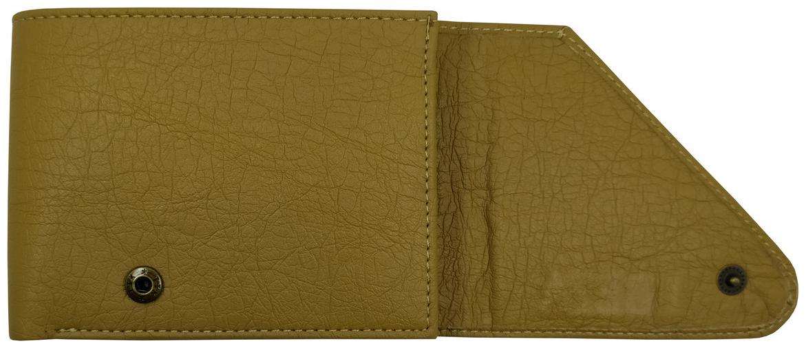 

EBEZA Men Beige Synthetic leather Bi-Fold Wallet ( Pack of 1 )