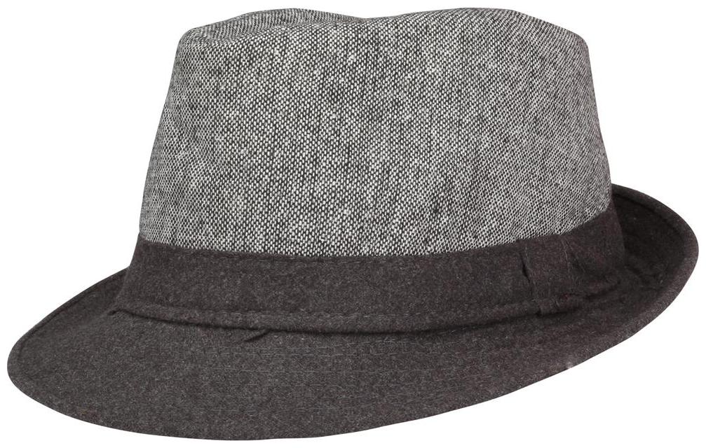 

FabSeasons Casual Fedora Hat